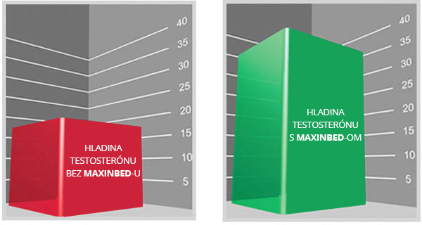 Vplyv Maxinbed-u na hladinu testosterónu po 8 týždňoch